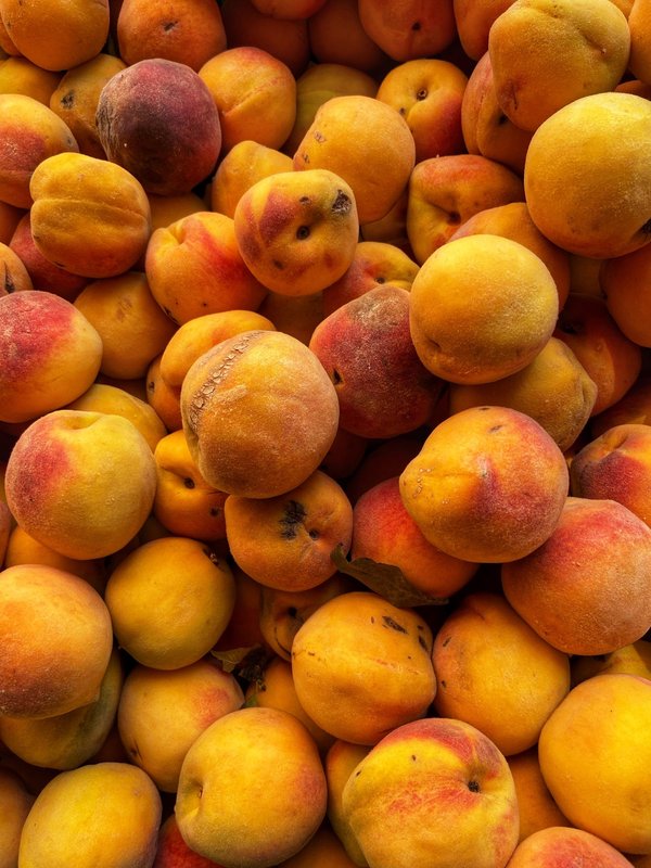 Voyager dans des villages côtiers : initiation à la pêche traditionnelle